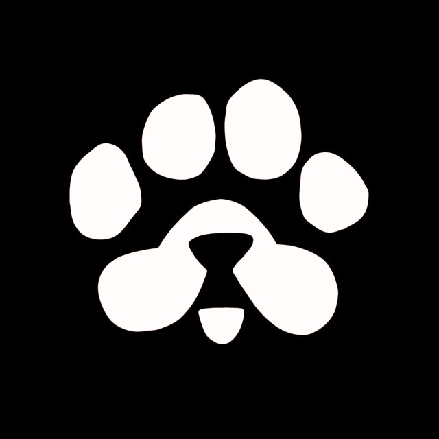 Paws Airdrop