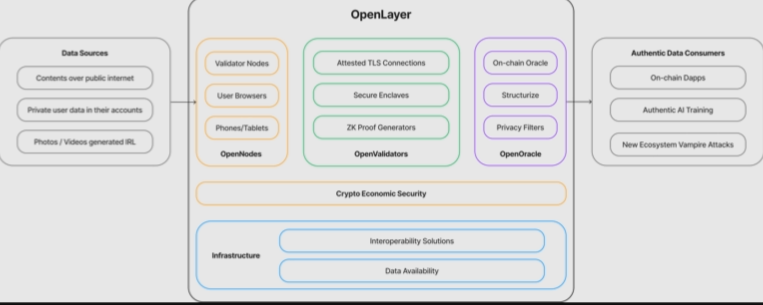 OpenLayer Airdrop